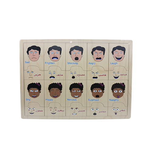 Puzzle of Emotions